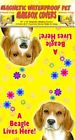 20638 Wtbi Beagle 18inx18in Magnetic 608939648104