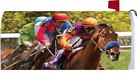 2411mm Custom Decor Race Horses 683963241163