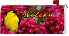 2702mm Custom Decor Welcome Goldfinch 683963270262