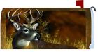 2704mm Custom Decor Trophy Buck 683963270460