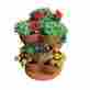 30-quart Unbranded Stacking Pot Planter In U.v Protected Plastic Price