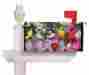 0536482 56492 Gifted Living Birds On A Picket Fence Magnetic Mailbox Cover 053648564922