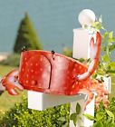 743735739534401 Sbs Fun Mailbox Metal Beachy Cottage Look Crab 7437357395344