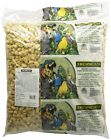 0806055 80554 Hari Tropican High Parrot 080605805545