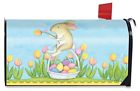 814212026471 Briarwood Lane Bunny And