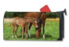 843259103258 Mailwraps Os Grazing Horses