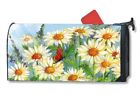 843259103302 Mailwraps Os Shasta Daisies