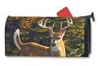843259107959 Magnet Works Whitetail Buck