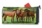 01468 843259112656 Magnet Works Magnetic Mailwraps Grazing Time Horses Mail