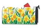 01482 843259112786 Magnet Works Magnetic Mailwraps Daffodils In Bloom Mail