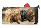 843259119297 Magnet Works Bundles Of Cuteness Original Magnetic Mailbox