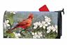 843259138946 Magnet Works Cardinal In Blossoms Mailwrap Magnetic Mailbox