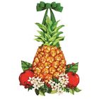 Dd0133 Studio Holiday Pineapple Door Cor 843259122686