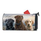 Mail05758 Labs Mailwrap Magnet Proud Works