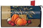 M00054 Briarwood Lane Fall Abundance 814212025191