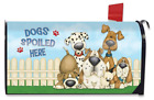 M00396 Briarwood Lane Dogs Spoiled Here Spring Magnetic Mailbox 818138026751