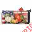 Mail01040 Magnet Works Ltd Patriotic Pumpkins Mailwrap 843259078624
