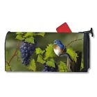 Mail05760 Vineyard Bluebird Mailwrap Magnet Works