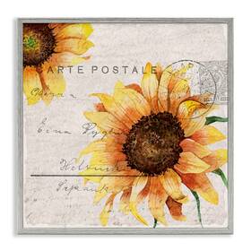 Stupell Industries 049182467577 Sunflower Illustration Over Vintage Post Wall Art 17x17 Grey Framed