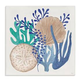Stupell Industries 705353232664 Coastal Sea Life By Veronique Charron Unframed Graphic Art Print 24 Inch