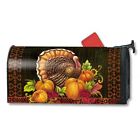 Mail01026 Turkey . Works Magnet Give Thanks Mailwrap