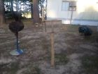 Wooden Mailbox Pallet