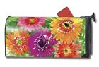 06394 Works Gerbera Mailwrap - Daisy Magnet