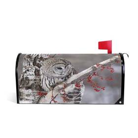 Zzkko 317890502548 Magnetic Mailbox Covers Lovely Barred Owl Letter Box Cover Colorful Painting Gra