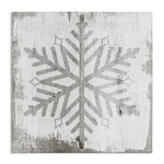 Stupell Industries Winter Nature Snowflake Shape Canvas Wall Art, Design By L.... Fixed Price $67.06.
