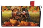 Briarwood Lane Harvest Turkey Fall Mailbox Cover. Fixed Price $15.95.