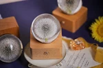 Miss Garden Dandelion Crystal Ball Led Lamp Open Box Unused Great Gift. Fixed Price $45.00.