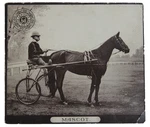 C. 1890S American Trotter Horse Card J & P Coats Racing 2ND Series Fantasy. Fixed Price $37.50.