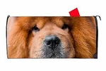 Chow Dog Closeup Magnetic Vinyl Mailbox Cover Made The Usa. Fixed Price $16.99.