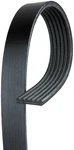 For 2004-2006 Workhorse Custom Chassis W22 8.1L Serpentine Belt Gates 159TA53. Fixed Price $44.95.
