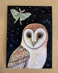 Barn Owl Aceo Magnet Print Limited Edition Mini Bird Art. Luna Moth. Night Stars. Fixed Price $9.00.