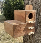 Large Solid Cedar Backyard Squirrel House Nesting Box - Wooden Preditor Guard. Fixed Price $89.99.