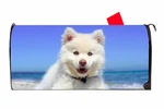 Cute White Dog Magnetic Mailbox Cover Made In The Usa. Fixed Price $16.99.
