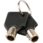 Global Industrial Replacement Keys (2) For Inter Office Mailboxes (443490. Fixed Price $8.42.
