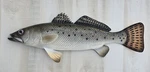 Sea Trout Hand Painted 28" Replica Wall Mount Sculpture Game Fish Salt Water. Fixed Price $49.50.