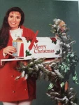 Merry Christmas Poinsettia Mailbox Covers Standard Size White 18 22.5 Free Sh. Fixed Price $6.50.