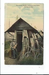 Portland Oregon Big Cedar Stump As Log Cabin. Fixed Price $6.50.