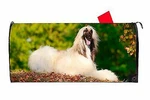 Afghan Dog Magnetic Vinyl Mailbox Cover Made The Usa. Fixed Price $16.99.