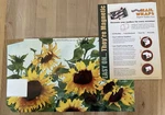 New Mailwraps Magnetic Box - Sunflowers 2001. Fixed Price $12.00.