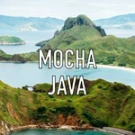 Mocha Java Dark Roast Coffee Beans Whole Fresh Gourmet Bulk 5LB Five Bags. Fixed Price $63.95.