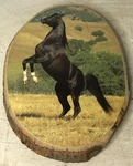 Vintage Black Horse Litho Wood Log Slice Art Wall Plaque Skyview Baptist Ranch. Fixed Price $24.95.