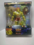 Street Fighter Ii Blanka 1:12 Deluxe Action Figure New Open Box Jada Toys. Fixed Price $34.99.