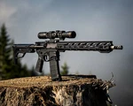 AR15 Assault Rifle Hand Gun W/ Scope Glossy Poster Picture Photo Banner. Fixed Price $9.99.