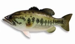 Hand Painted 12" Large Mouth Bass Standing Game Fish Figurine Statue F017B. Fixed Price $23.99.
