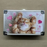 Vaultz Locking Supply Box Cute 3D Kitten Design Storage With Latch Pink. Fixed Price $17.99.
