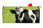 Black And White Cow Vinyl Magnetic Mailbox Cover Made The Usa. Fixed Price $16.99.